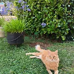 Domaine De Cadenne 게스트하우스 3*