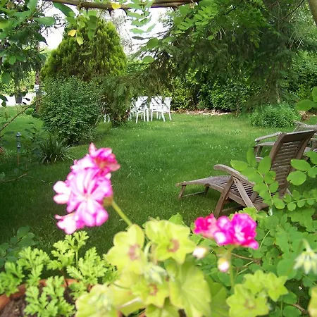 Domaine De Cadenne Saint-Antonin